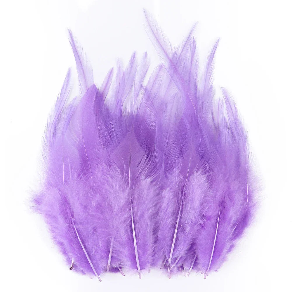 Natural Pheasant & Chicken Craft Feathers Bulk Lot