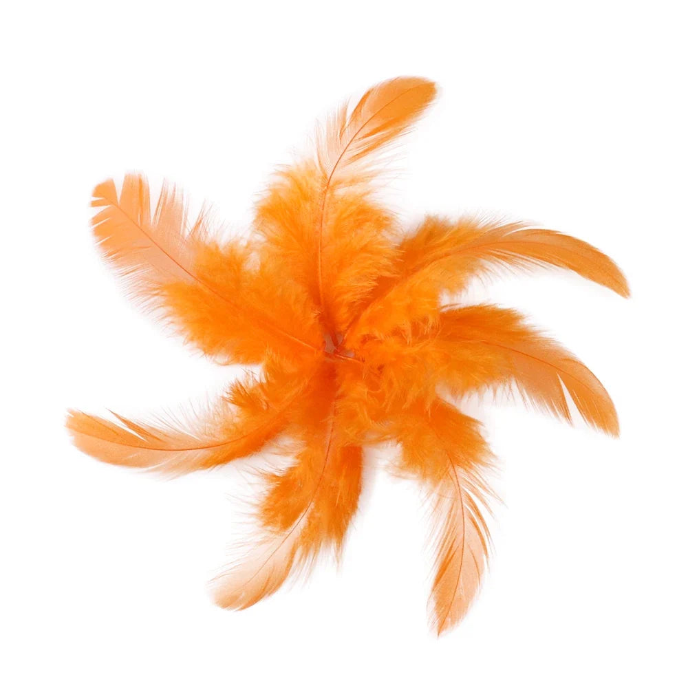 Natural Rooster Craft Feathers Bulk Lot