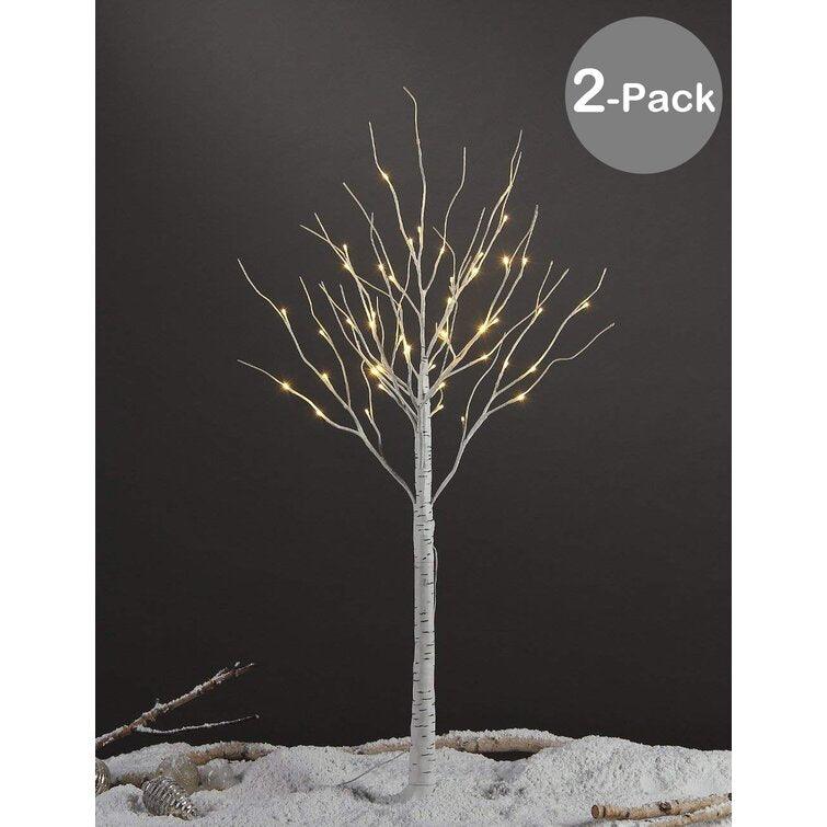 Lighted Trees & Branches