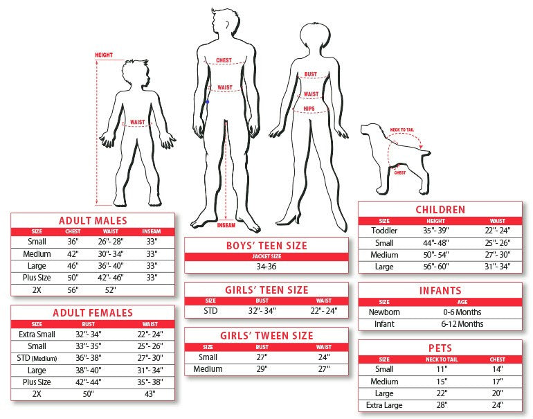 Bob Beetlejuice 2 Men's Costume