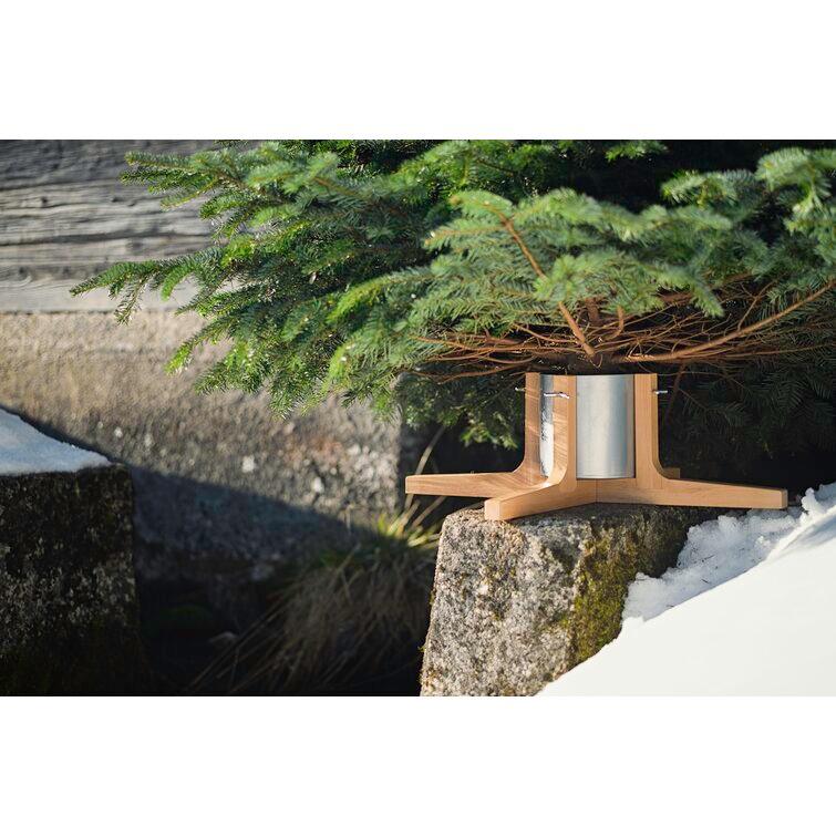 Rustic Live Tree Stand