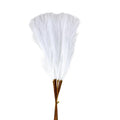 Deluxe Artificial Pampas Grass Fluffy Boho Floral Stem Set