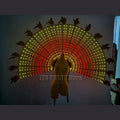 60 Degree LED Isis Wings Belly Dance Stage Performance Costume Set