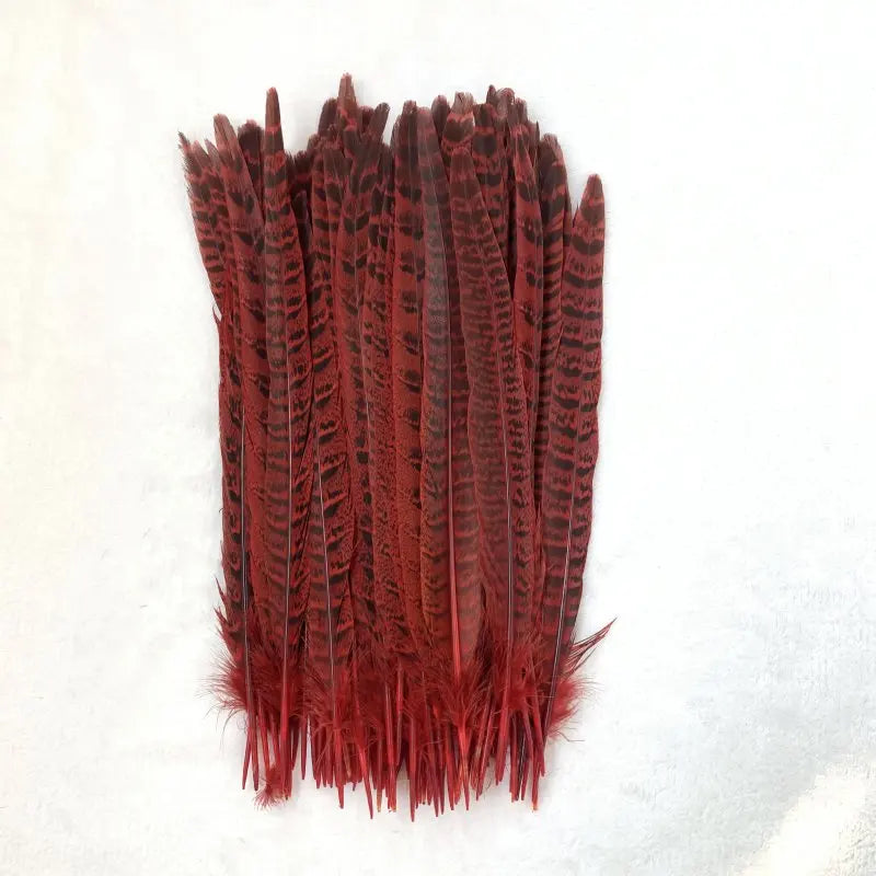 Natural Female Pheasant Tail Feathers (10pcs/lot)