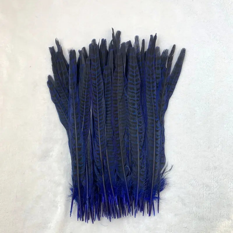 Natural Female Pheasant Tail Feathers (100PCS)
