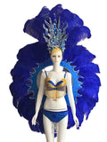 Feathered Carnival Headdress and Backpack Wing Set