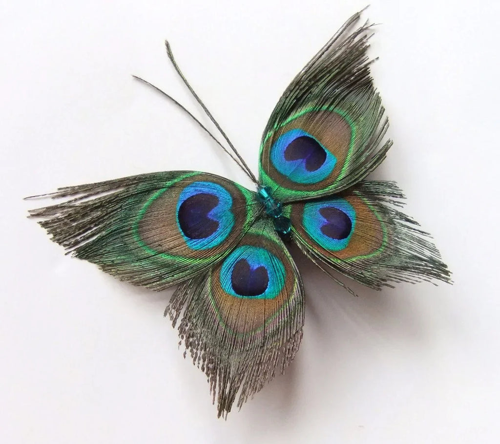 Wholesale Real Peacock Feathers (50-100/lot)