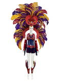 Regal Feathered Backpiece and Rhinestone Costume Set