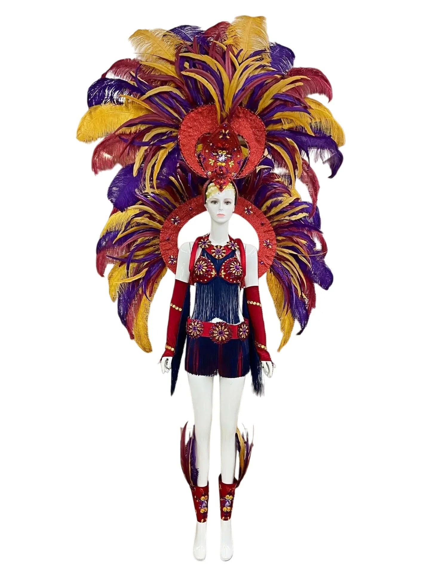 Regal Feathered Backpiece and Rhinestone Costume Set