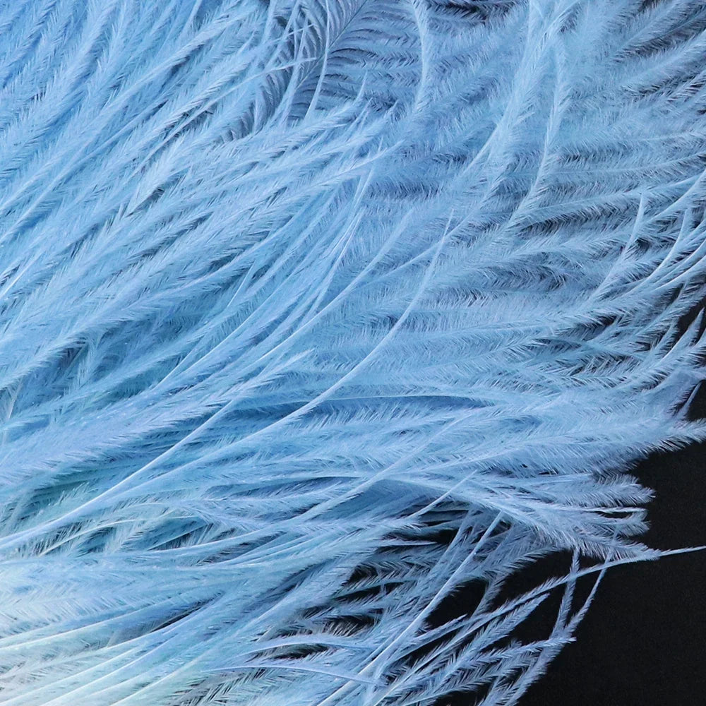 10PC Two-Tone Decorative Feather Plumes