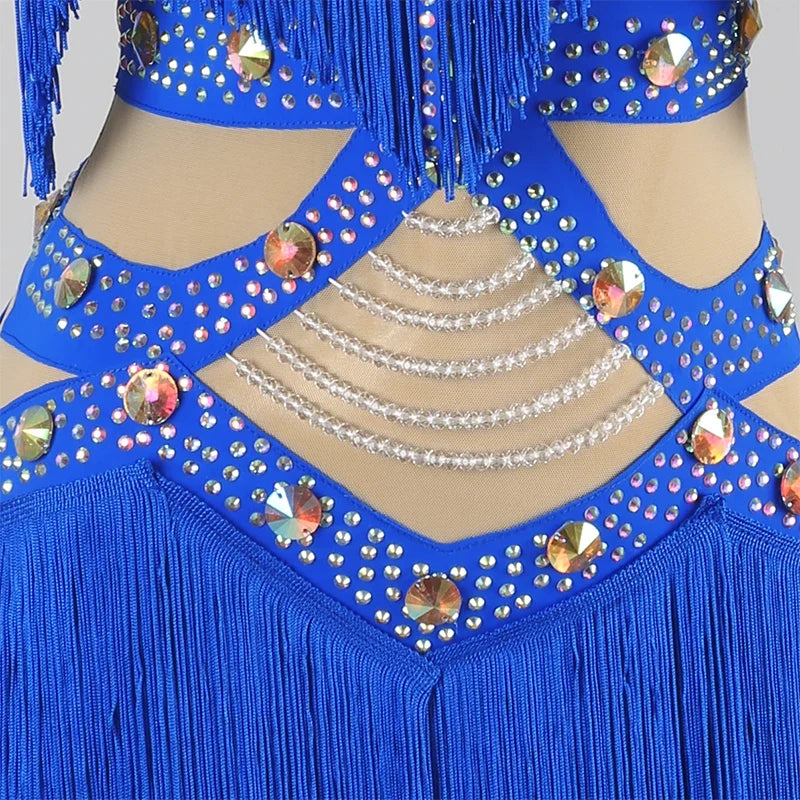 Professional Latin Dance Competition Dress & Tassel Fringe Performance Outfit