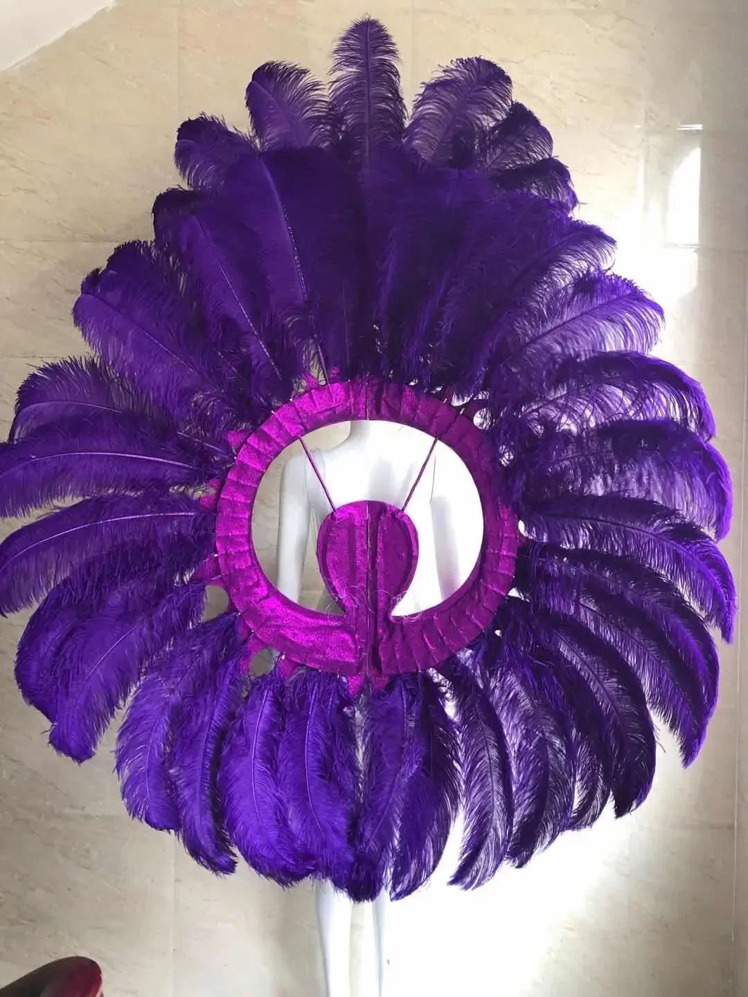 Feathered Carnival Headdress and Backpack Wing Set