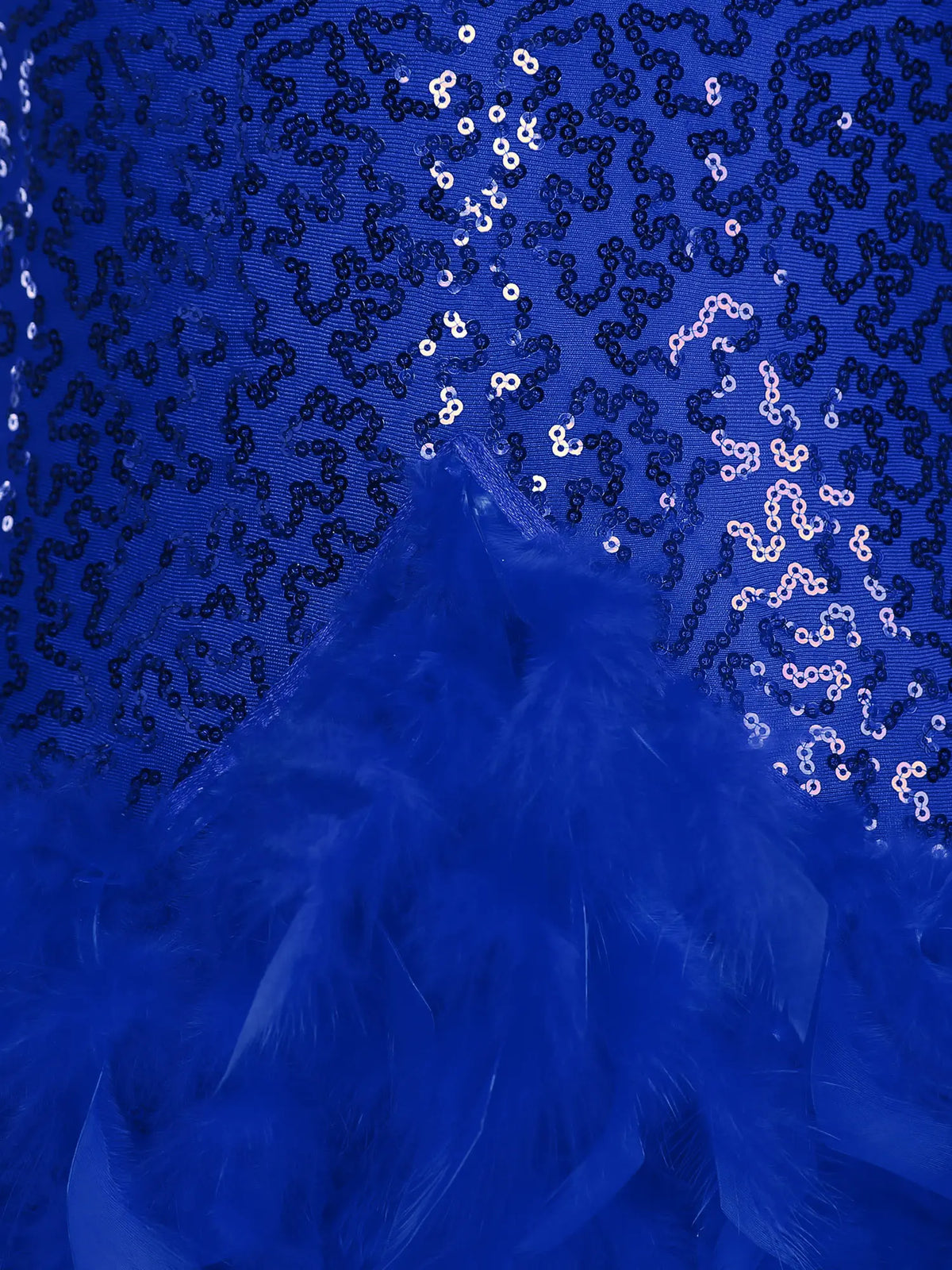 The Stardust Empress Royale – Sequined & Feathered Latin Dance Leotard Dress
