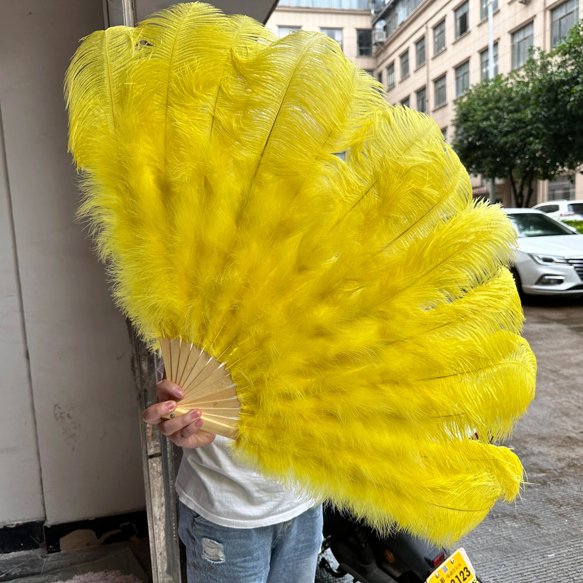 100CM Ostrich Feather Fans