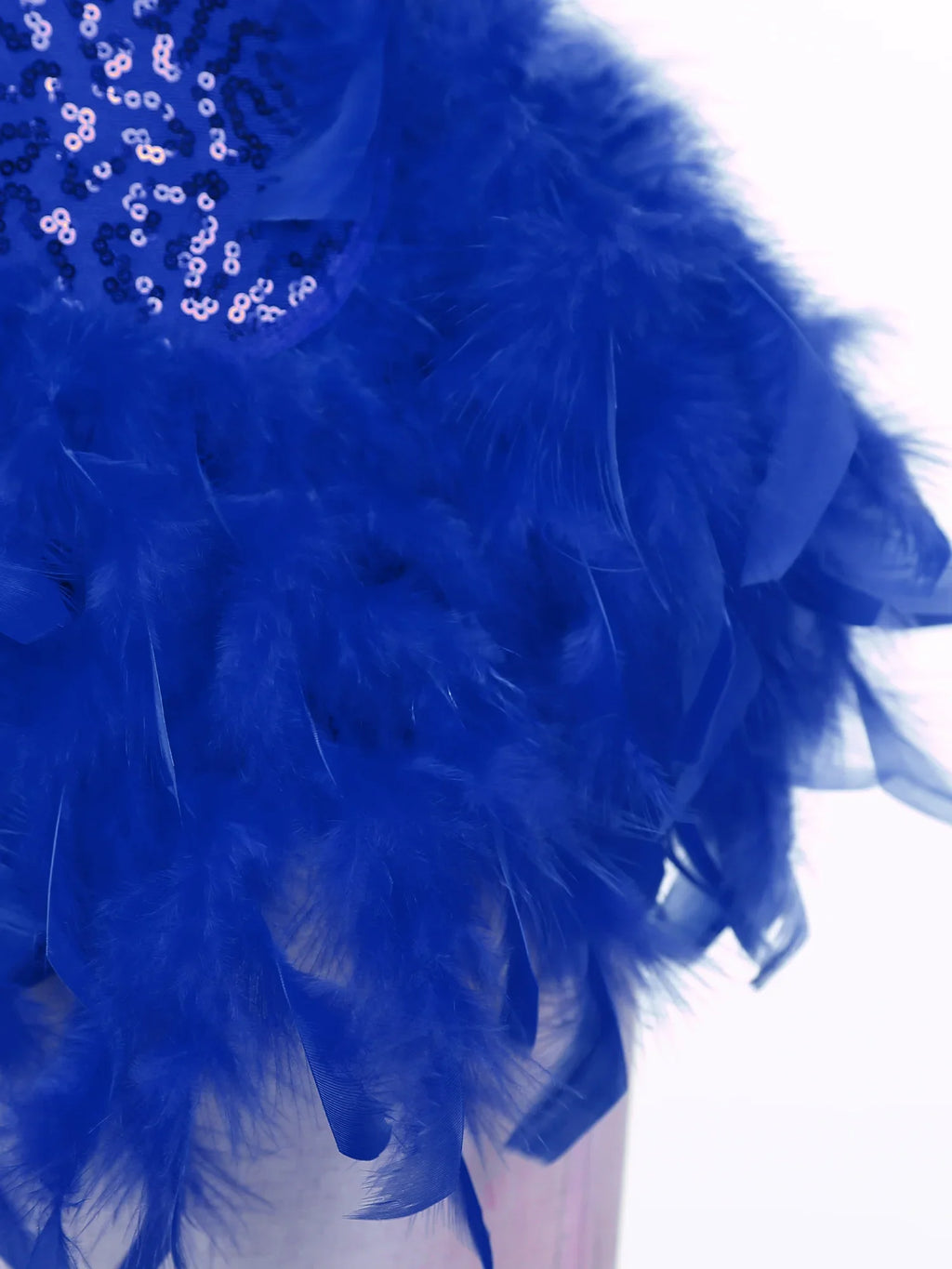 The Stardust Empress Royale – Sequined & Feathered Latin Dance Leotard Dress
