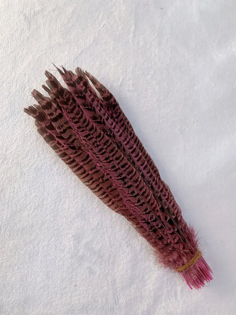 Natural Female Pheasant Tail Feathers (100PCS)
