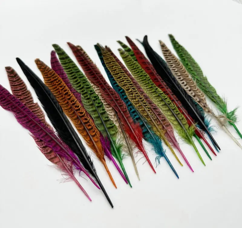 Natural Female Pheasant Tail Feathers (10pcs/lot)