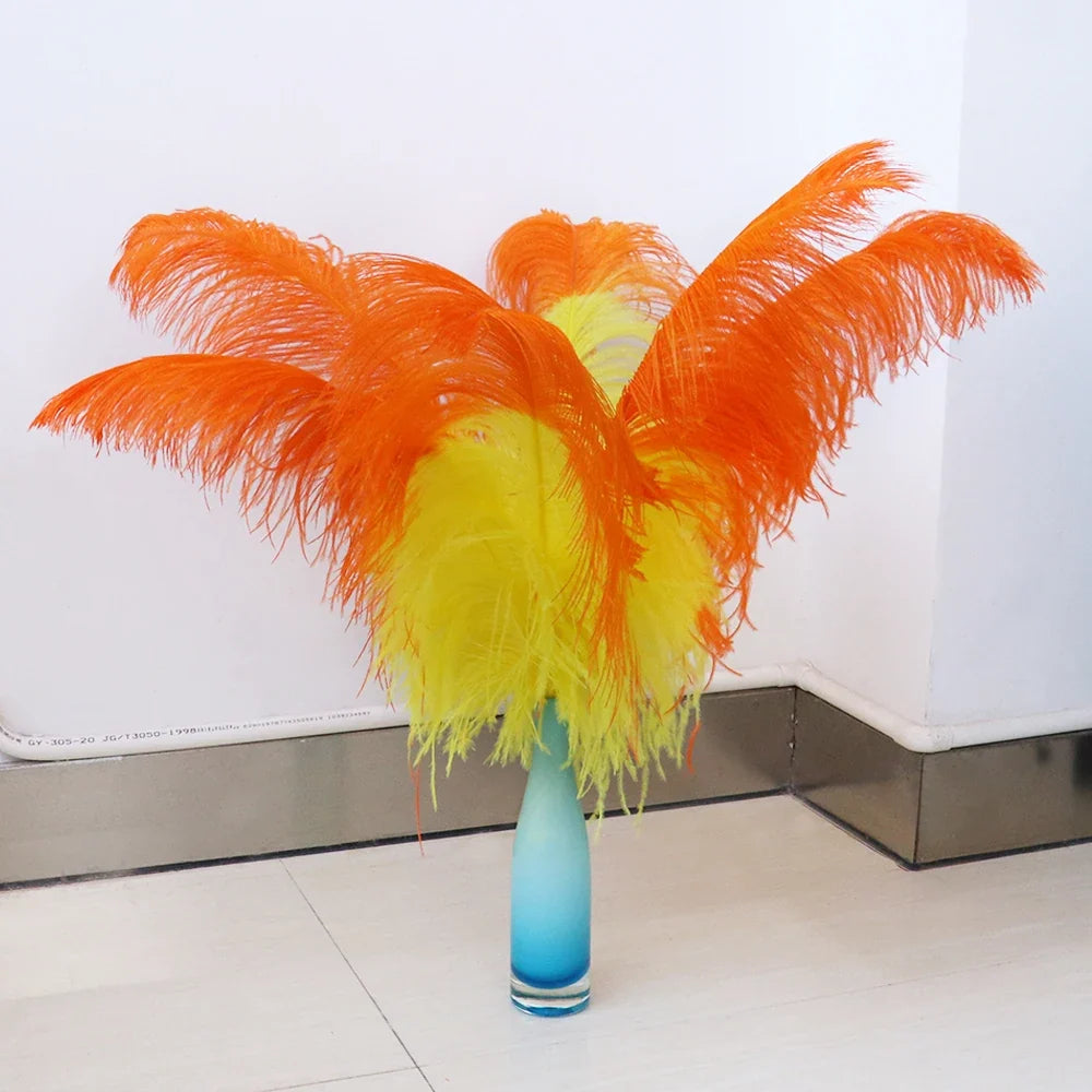 10PC Two-Tone Decorative Feather Plumes
