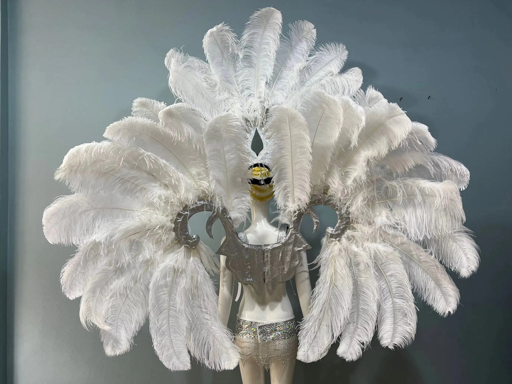 Grand Feathered Wing and Headdress Costume Set
