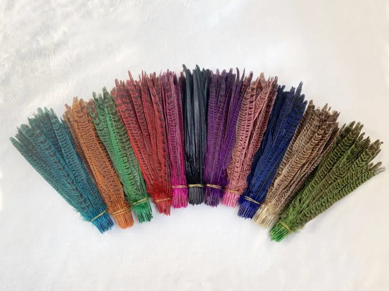 Natural Female Pheasant Tail Feathers (10pcs/lot)