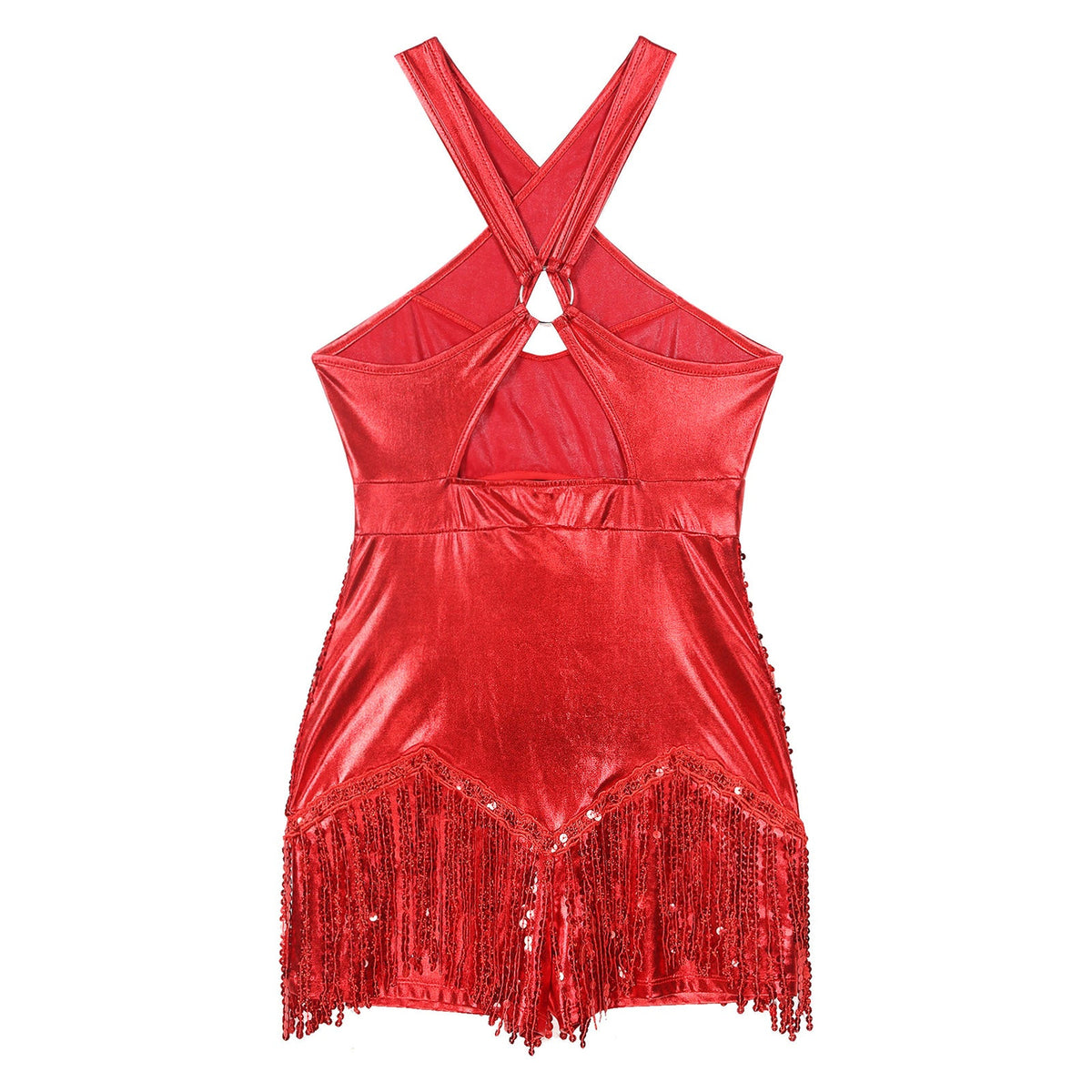 Sequined Fringe Cross-Front Latin Dance Leotard Costume Dress