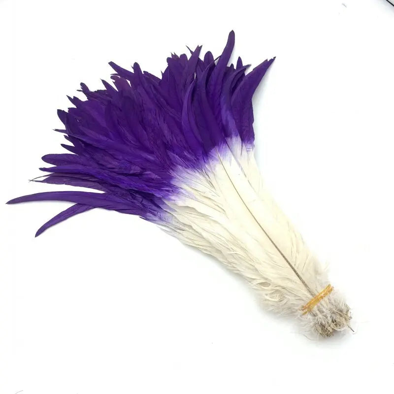 50PCS Two-Tone Rooster Tail Feathers (35-40CM)