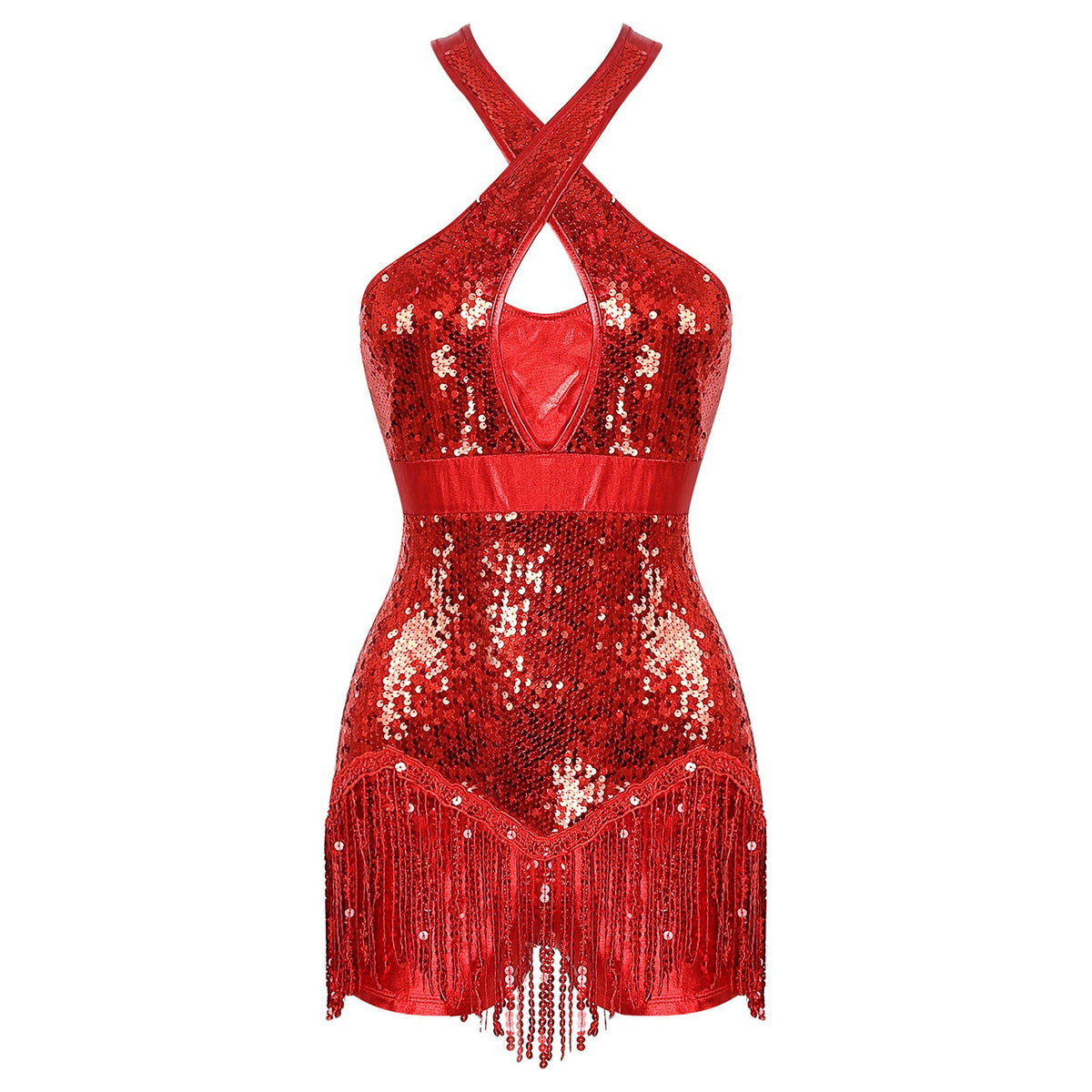 Sequined Fringe Cross-Front Latin Dance Leotard Costume Dress