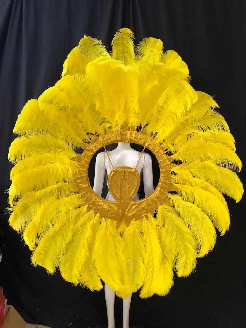 Feathered Carnival Headdress and Backpack Wing Set