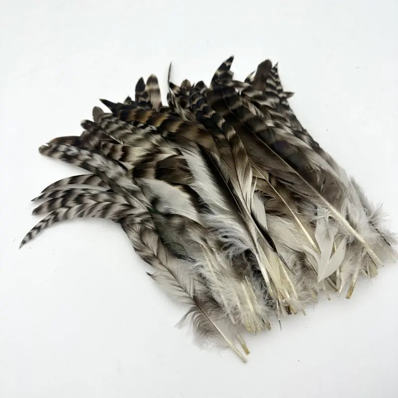 100PCS Natural Barred Rooster Tail Feathers (15-45CM)
