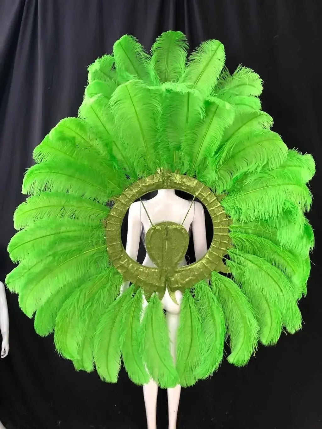 Feathered Carnival Headdress and Backpack Wing Set