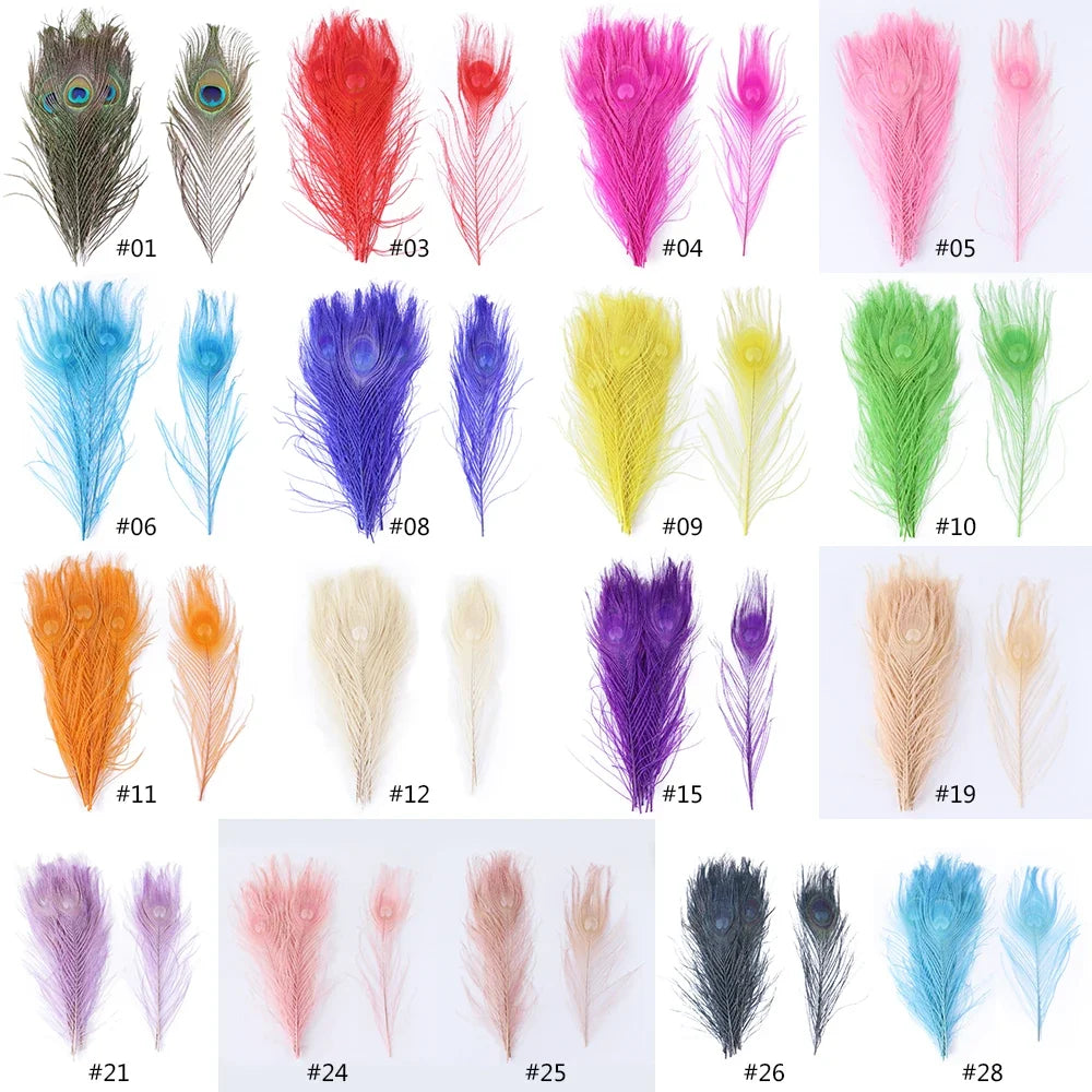 Premium Peacock Eye Feathers 10PC