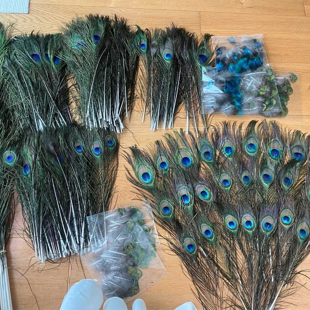 Wholesale Real Peacock Feathers (50-100/lot)