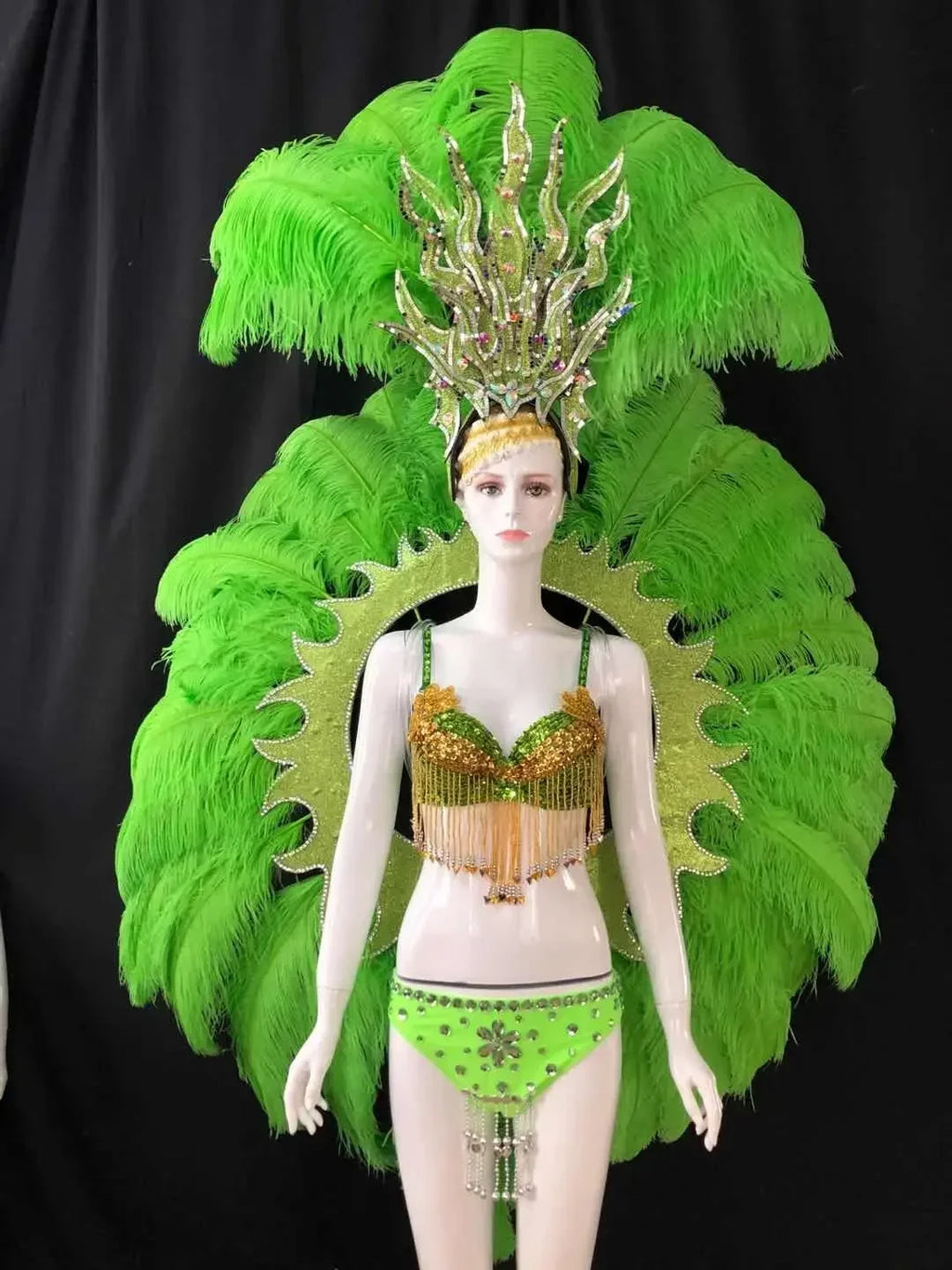 Feathered Carnival Headdress and Backpack Wing Set