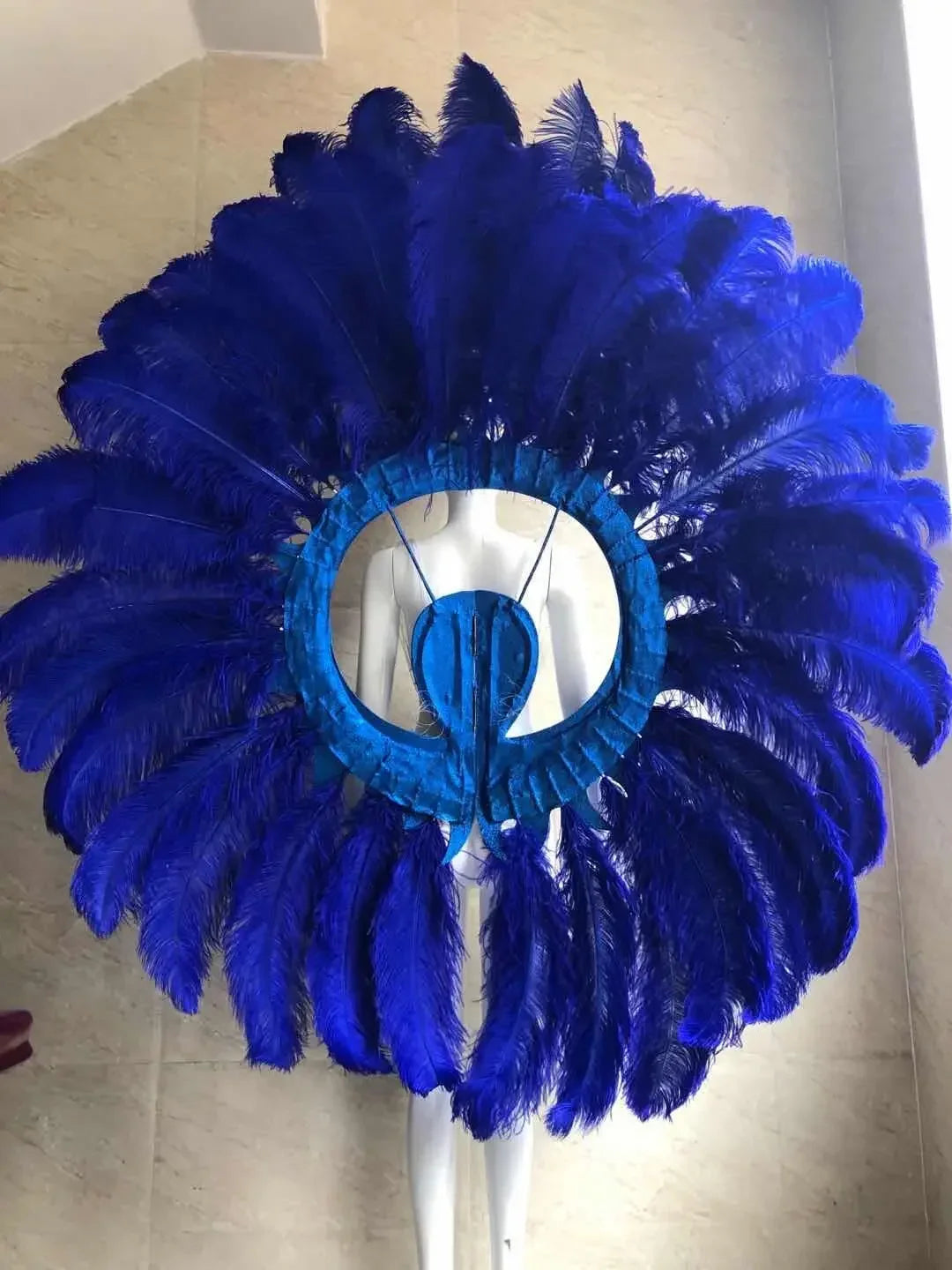 Feathered Carnival Headdress and Backpack Wing Set