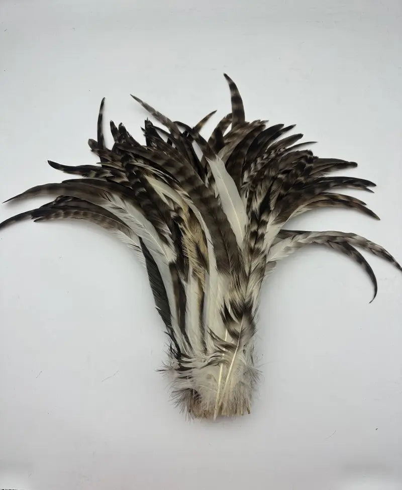 100PCS Natural Barred Rooster Tail Feathers (15-45CM)
