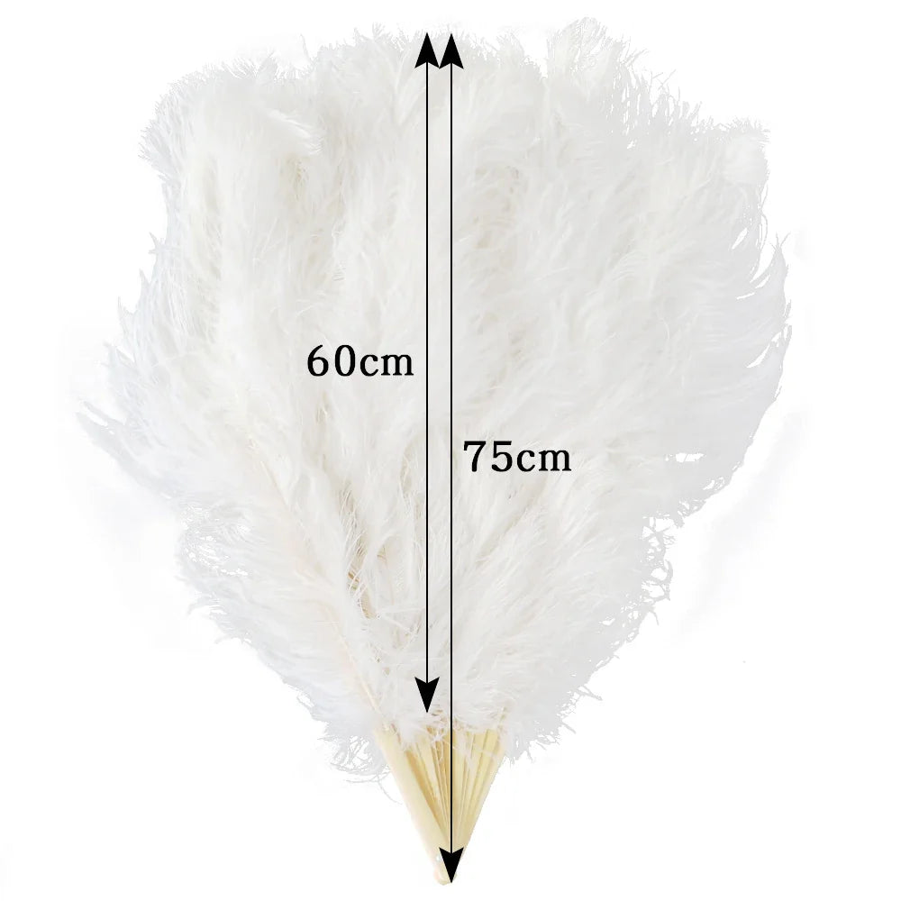 100CM Ostrich Feather Fans