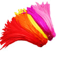 50pcs Natural Rooster Tail Feather Plumes