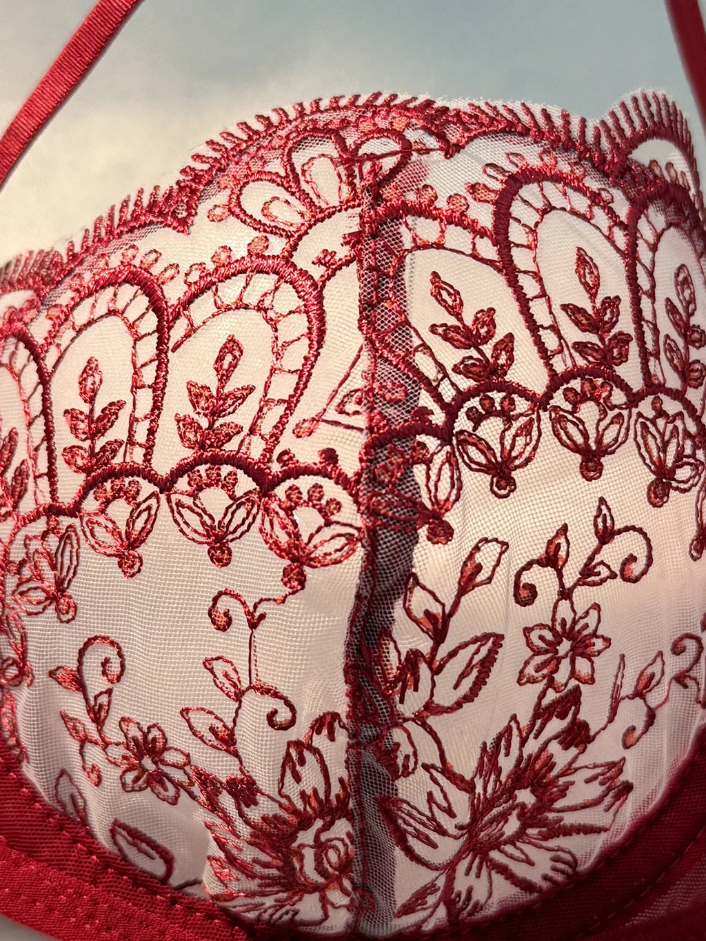 WineRed French-style floral embroidery lace lingerie set, sexy see-through padded support, Valentine's Day party ZA824057