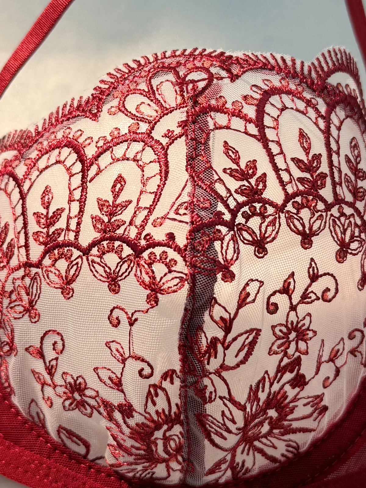 WineRed French-style floral embroidery lace lingerie set, sexy see-through padded support, Valentine's Day party ZA824057