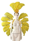 Feather Backpiece and Plume Headdress Set
