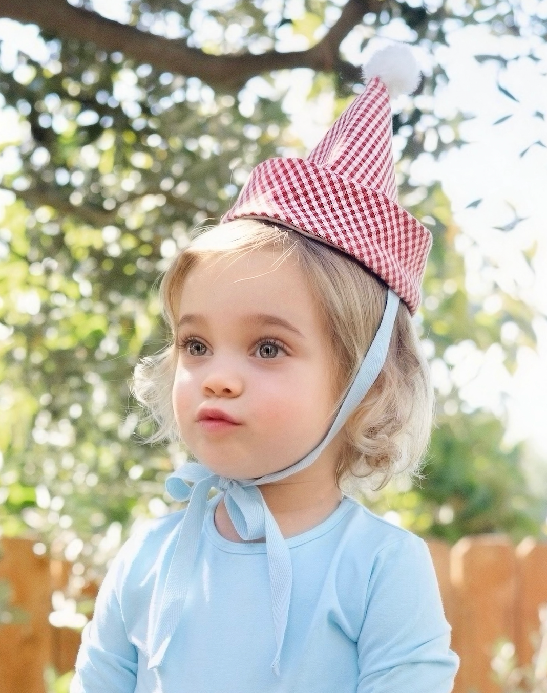 Gingham Party Hat