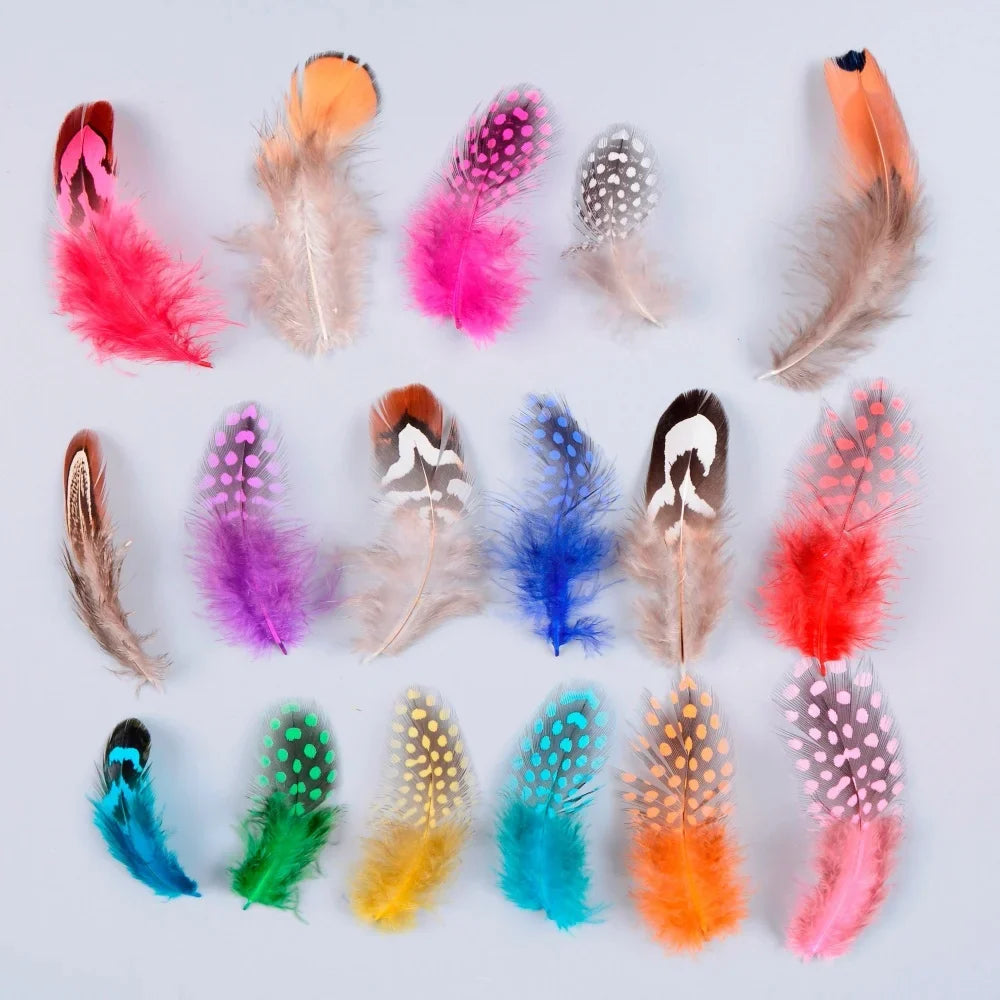 Natural Spotted Guinea Fowl Feathers 100PC