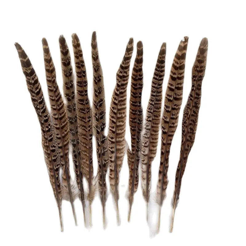 Natural Female Pheasant Tail Feathers (10pcs/lot)
