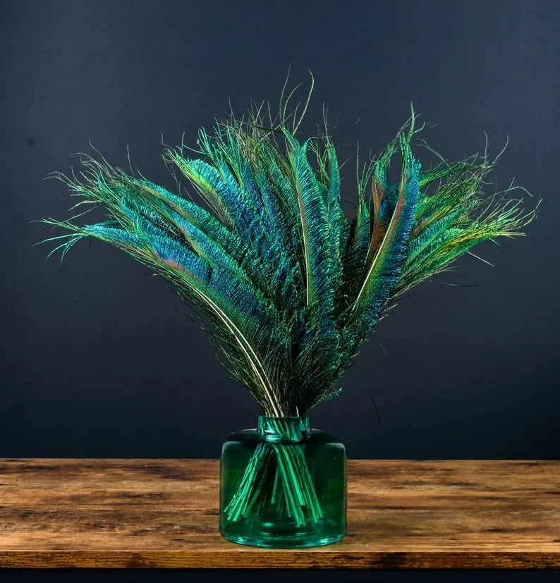 Wholesale Real Peacock Feathers (50-100/lot)