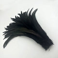 50PCS Two-Tone Rooster Tail Feathers (35-40CM)