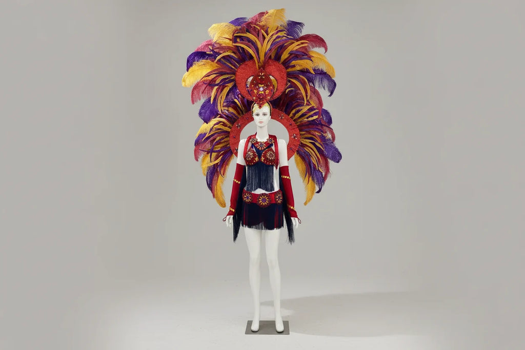 Regal Feathered Backpiece and Rhinestone Costume Set