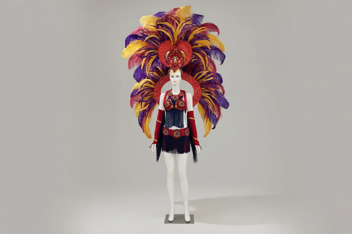 Regal Feathered Backpiece and Rhinestone Costume Set