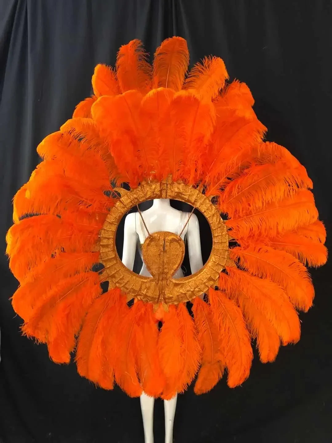Feathered Carnival Headdress and Backpack Wing Set