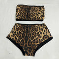 Sequined Top & High-Waist Leopard Print Shorts 2-Piece Gogo Dance Set