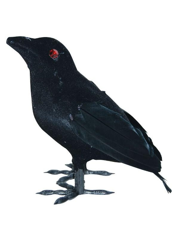 Small Flocked Crow